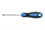 Викрутка Hogert TORX T25, 100 мм, сталь S2 